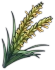 Rice Plant Panicle Large Icon