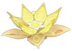 Überflusslotus