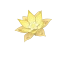 Überflusslotus Splash Icon