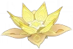 Lotus de l'Abondance Icon