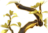 黄葉の梢 Icon