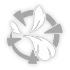 Fleetwinged Raid Icon